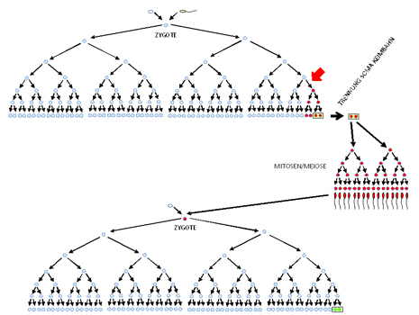 media/vet/module 11/abb05.jpg